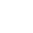 Automobile Icon